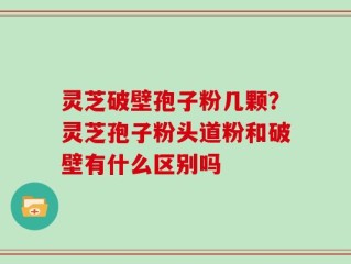 灵芝破壁孢子粉几颗？灵芝孢子粉头道粉和破壁有什么区别吗