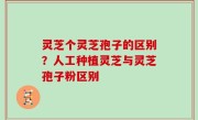 灵芝个灵芝孢子的区别？人工种植灵芝与灵芝孢子粉区别