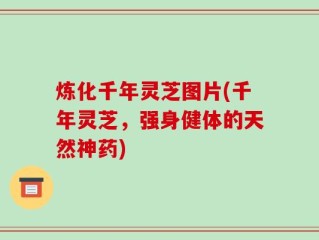 炼化千年灵芝图片(千年灵芝，强身健体的天然神药)