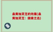 桑黄加灵芝的效果(桑黄加灵芝：健康之选)