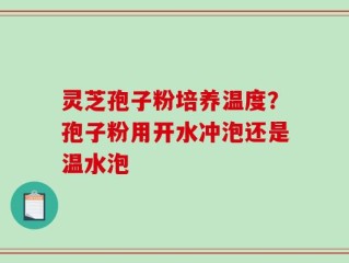 灵芝孢子粉培养温度？孢子粉用开水冲泡还是温水泡