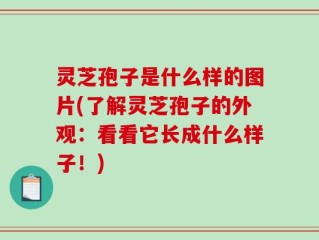 灵芝孢子是什么样的图片(了解灵芝孢子的外观：看看它长成什么样子！)