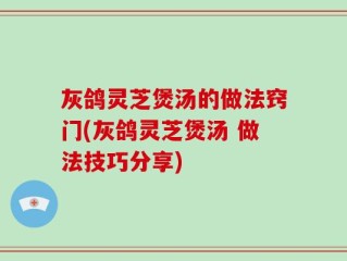 灰鸽灵芝煲汤的做法窍门(灰鸽灵芝煲汤 做法技巧分享)