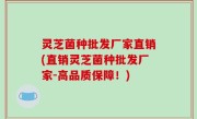 灵芝菌种批发厂家直销(直销灵芝菌种批发厂家-高品质保障！)