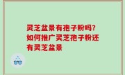 灵芝盆景有孢子粉吗？如何推广灵芝孢子粉还有灵芝盆景
