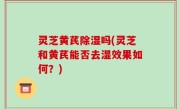 灵芝黄芪除湿吗(灵芝和黄芪能否去湿效果如何？)