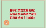 春砂仁灵芝五指毛桃(五指毛桃与春砂仁灵芝的药用功效詳盡解读)
