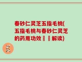 春砂仁灵芝五指毛桃(五指毛桃与春砂仁灵芝的药用功效詳盡解读)
