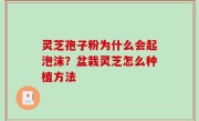 灵芝孢子粉为什么会起泡沫？盆栽灵芝怎么种植方法
