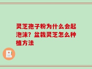 灵芝孢子粉为什么会起泡沫？盆栽灵芝怎么种植方法