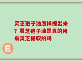 灵芝孢子油怎样提出来？灵芝孢子油是真的用来灵芝提取的吗