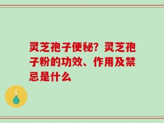 灵芝孢子便秘？灵芝孢子粉的功效、作用及禁忌是什么