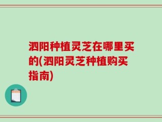 泗阳种植灵芝在哪里买的(泗阳灵芝种植购买指南)