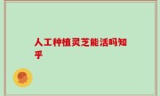 人工种植灵芝能活吗知乎