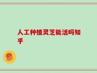 人工种植灵芝能活吗知乎