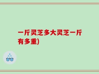 一斤灵芝多大灵芝一斤有多重)