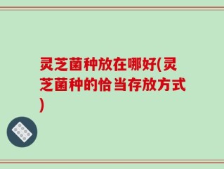 灵芝菌种放在哪好(灵芝菌种的恰当存放方式)