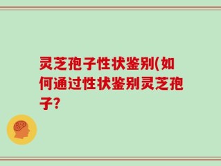 灵芝孢子性状鉴别(如何通过性状鉴别灵芝孢子？