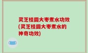 灵芝桂圆大枣煮水功效(灵芝桂圆大枣煮水的神奇功效)