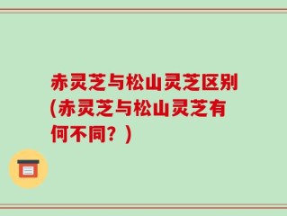 赤灵芝与松山灵芝区别(赤灵芝与松山灵芝有何不同？)