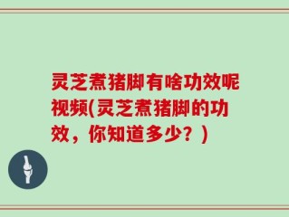 灵芝煮猪脚有啥功效呢视频(灵芝煮猪脚的功效，你知道多少？)