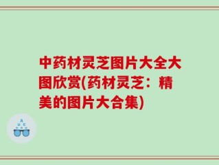 中药材灵芝图片大全大图欣赏(药材灵芝：精美的图片大合集)