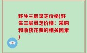 野生三层灵芝价格(野生三层灵芝价格：采购和收获花费的相关因素)