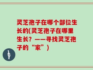 灵芝孢子在哪个部位生长的(灵芝孢子在哪里生长？——寻找灵芝孢子的“家”)