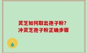 灵芝如何取出孢子粉？冲灵芝孢子粉正确步骤
