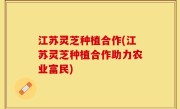 江苏灵芝种植合作(江苏灵芝种植合作助力农业富民)