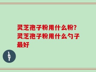 灵芝孢子粉用什么粉？灵芝孢子粉用什么勺子最好