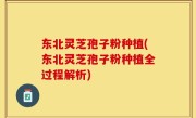 东北灵芝孢子粉种植(东北灵芝孢子粉种植全过程解析)