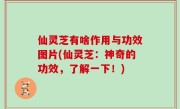 仙灵芝有啥作用与功效图片(仙灵芝：神奇的功效，了解一下！)