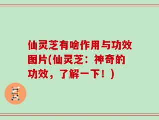 仙灵芝有啥作用与功效图片(仙灵芝：神奇的功效，了解一下！)