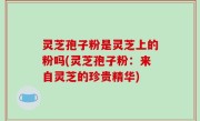 灵芝孢子粉是灵芝上的粉吗(灵芝孢子粉：来自灵芝的珍贵精华)