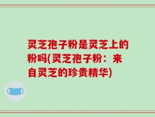 灵芝孢子粉是灵芝上的粉吗(灵芝孢子粉：来自灵芝的珍贵精华)