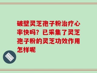 破壁灵芝孢子粉治疗心率快吗？已采集了灵芝孢子粉的灵芝功效作用怎样呢