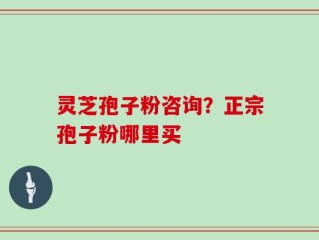 灵芝孢子粉咨询？正宗孢子粉哪里买