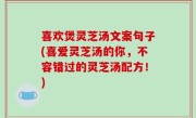 喜欢煲灵芝汤文案句子(喜爱灵芝汤的你，不容错过的灵芝汤配方！)