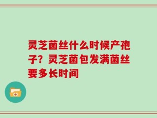 灵芝菌丝什么时候产孢子？灵芝菌包发满菌丝要多长时间