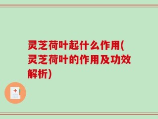 灵芝荷叶起什么作用(灵芝荷叶的作用及功效解析)