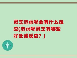 灵芝泡水喝会有什么反应(泡水喝灵芝有哪些好处或反应？)