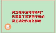 灵芝孢子油可排毒吗？已采集了灵芝孢子粉的灵芝功效作用怎样呢