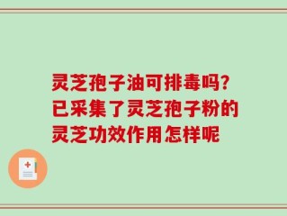 灵芝孢子油可排毒吗？已采集了灵芝孢子粉的灵芝功效作用怎样呢