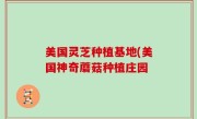 美国灵芝种植基地(美国神奇蘑菇种植庄园