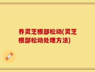 养灵芝根部松动(灵芝根部松动处理方法)