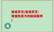 智诺灵芝(智诺灵芝：增强免疫力的超级菌种)