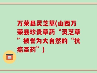 万荣县灵芝草(山西万荣县珍贵草药“灵芝草”被誉为大自然的“抗癌圣药”)