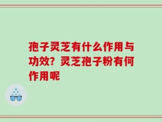 孢子灵芝有什么作用与功效？灵芝孢子粉有何作用呢