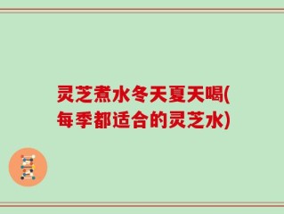 灵芝煮水冬天夏天喝(每季都适合的灵芝水)